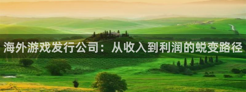 杏耀电商怎么样可靠吗：海外游戏发行公司：从收入到利润的蜕变路径