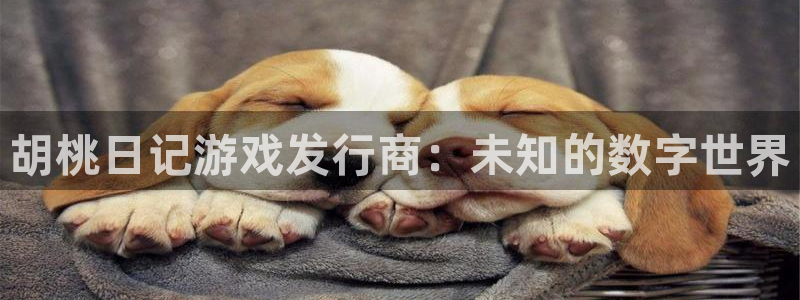 南京杏耀子电子商务有限公司：胡桃日记游戏发行商：未知的数字世界
