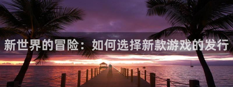 杏耀官网注册方法视频：新世界的冒险：如何选择新款游戏的发行