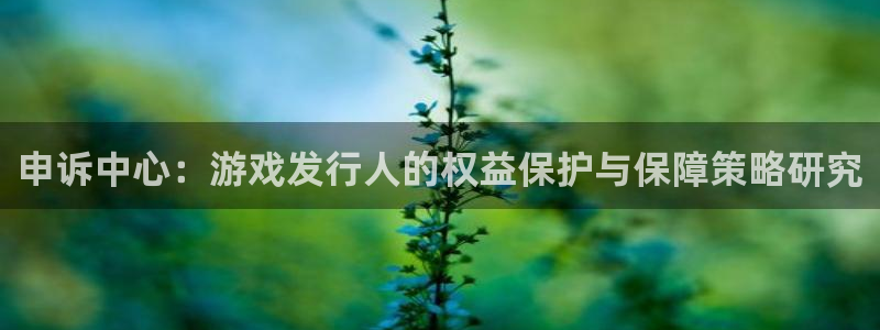 杏耀gs：申诉中心：游戏发行人的权益保护与保障策略研究