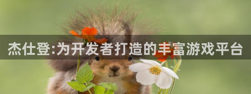 杏耀官网分红：杰仕登:为开发者打造的丰富游戏平台