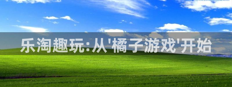 杏耀子股价：乐淘趣玩:从\'橘子游戏\'开始