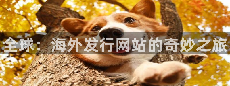 杏耀官网注册方法有哪些软件：全球：海外发行网站的奇妙之旅