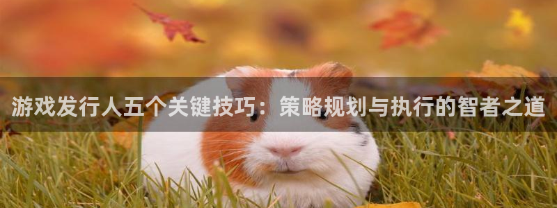 杏耀官网是什么娱乐?
