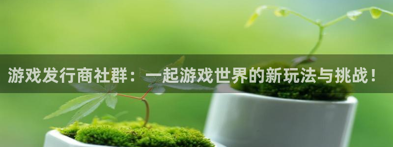 杏耀平台登录入口官网：游戏发行商社群：一起游戏世界的新玩法与挑战！