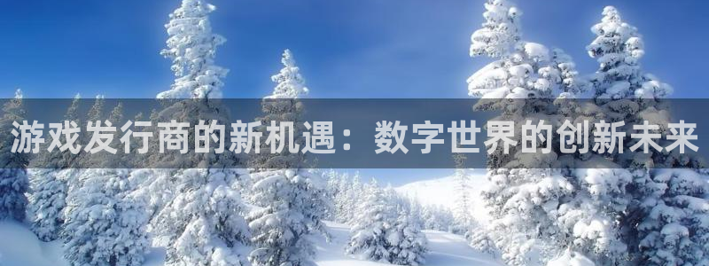 杏耀lvnces官网：游戏发行商的新机遇：数字世界的创新未来