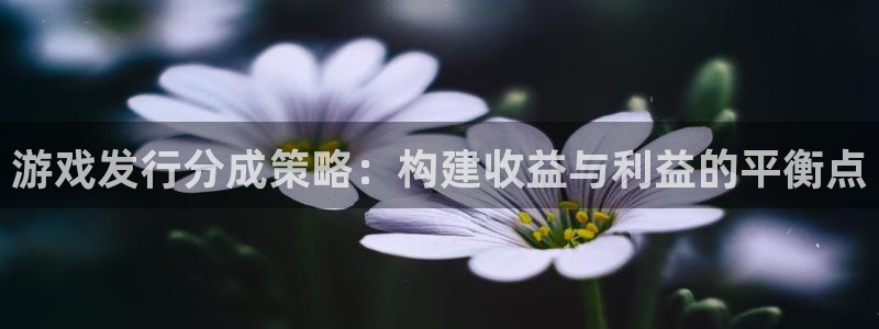 杏耀电子商务怎么样：游戏发行分成策略：构建收益与利益的平衡点