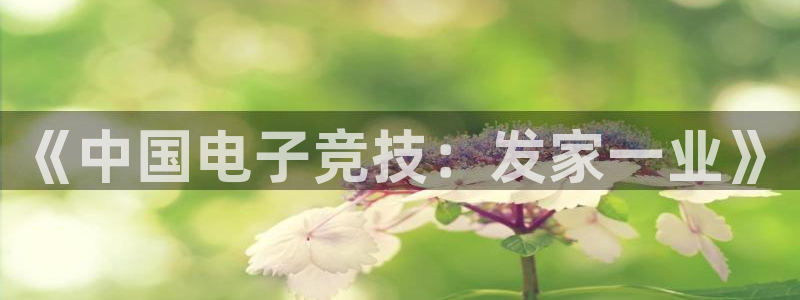 杏耀官网平台代理开号怎么开