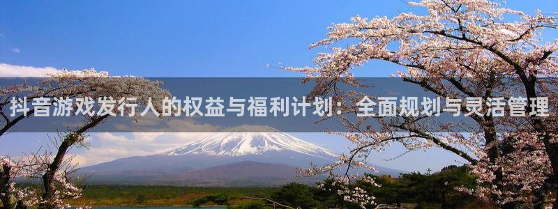 杏耀官网注册平台合法吗?：抖音游戏发行人的权益与福利计划：全面规划与灵活管理