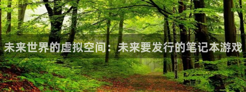 陕西杏耀子文化创意有限公司1：未来世界的虚拟空间：未来要发行的笔记本游戏